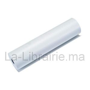 Rouleau papier thermique TPE – 57 x 35 mm  | Catégorie   Rouleaux papiers thermique