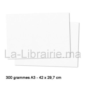 Image du produit Papier 300 grammes A3 - 42 x 29,7 cm