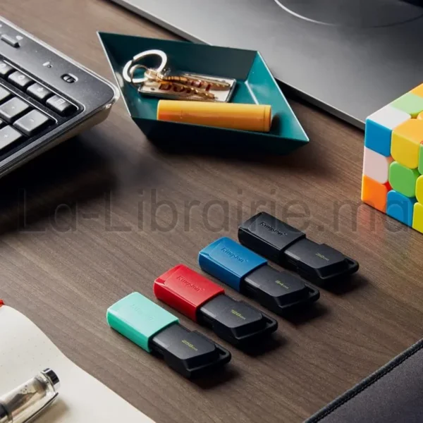 clé USB Kingston DataTraveler Exodia M