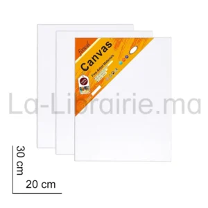 Tableau en toile de 20 x 30 cm